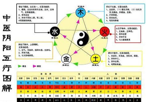 金生木 木生水|五行的生克关系 相生相克的五行